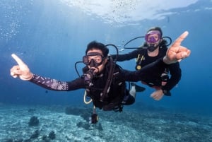 Manta Dive Gili Trawangan: Scopri le immersioni subacquee