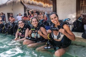 Manta Dive Gili Trawangan: Kurs i öppet vatten