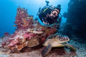 Manta Dive Gili Trawangan: Åbent vand-kursus