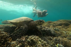 Gili Trawangan: Schnorchelausflug am Mittag und GOPRO-Shooting