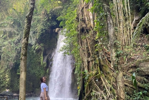 Foresta delle scimmie, cascata, tempio e terrazza di riso