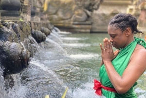 Floresta dos macacos, cachoeira, templo e terraço de arroz