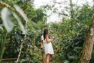 Excursión al Amanecer del Monte Batur con Desayuno_Tour Todo Incluido