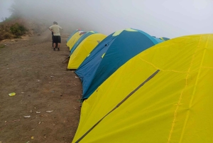 Mount Rinjani: 2D/1N trekking til toppen, dagsomvisning