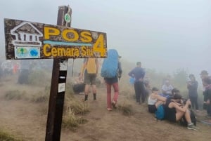 Mount Rinjani: 2D/1N trekking til toppen, dagsomvisning