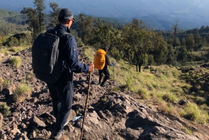 Восхождение на гору Ринджани 2D/1N Summit Trek 3726M