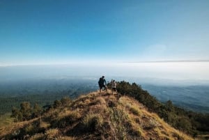 mount rinjani green summit 2d 1n tour