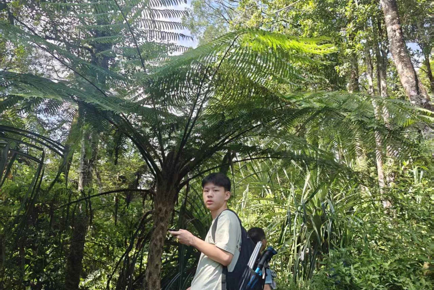 Trekking di un giorno sul Monte Rinjani attraverso il bordo del cratere di Senaru