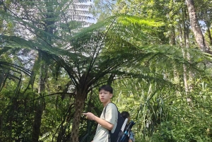 Trekking di un giorno sul Monte Rinjani attraverso il bordo del cratere di Senaru