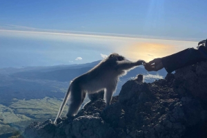 Mount Rinjani: Trekking To Summit Rinjani 3726m Day Tour