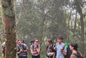 Trekking na szczyt Rinjani 3 dni/2 noce, jezioro, gorące źródła