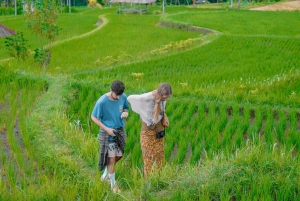 Norht Lombok Waterfall Day Trip : Sendang Gile & Tiu Kelep