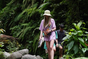 Excursión de un día a las cataratas del norte de Lombok: Sendang Gile y Tiu Kelep