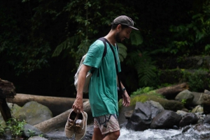 Tagestour zum Wasserfall im Norden Lomboks: Sendang Gile & Tiu Kelep