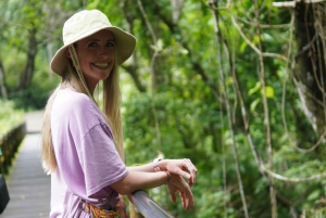 Viagem de 1 dia para as cachoeiras do norte de Lombok: Sendang Gile e Tiu Kelep