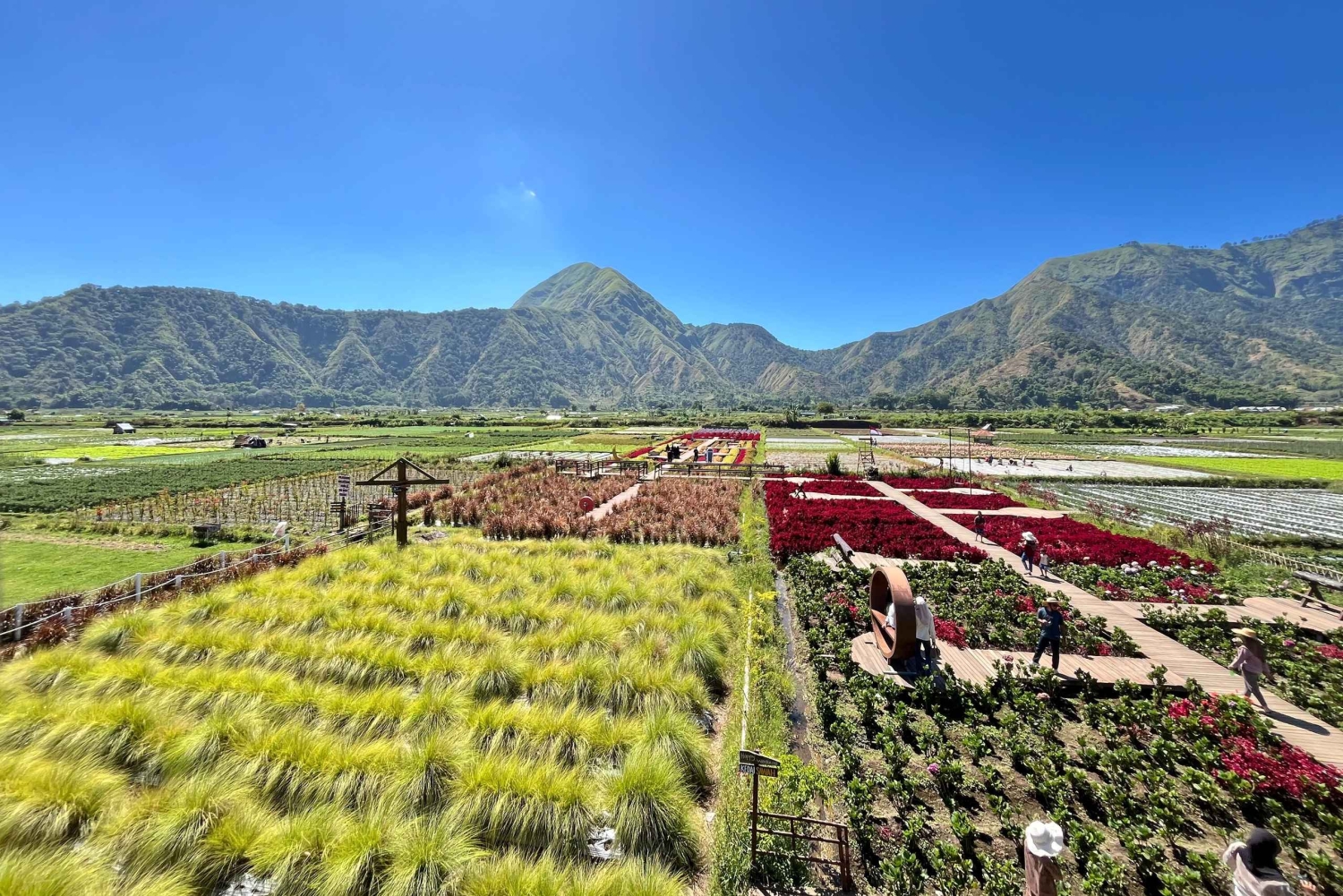 Noord-Lombok: Ontdek Sendang Gile, Tiu Kelep en Selong Hill