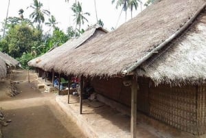 Lombok : Sendang Gile & Tiu Kelep Wasserfälle Trekking Tour