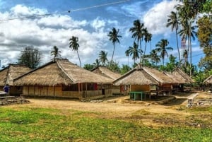 Lombok : Sendang Gile & Tiu Kelep vesiputoukset Trekking Tour