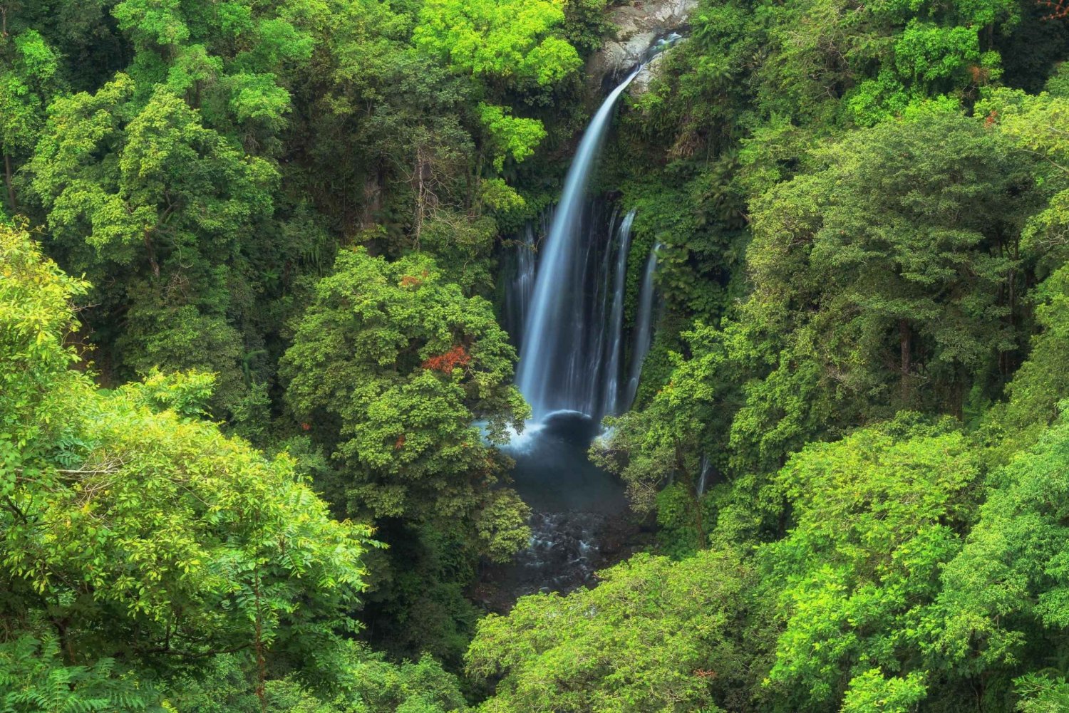 North Lombok: Sendang Gile Waterfall & Senaru Village Tour