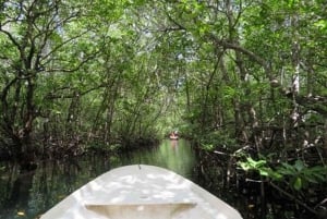 Nusa Lembongan Tour: Island and Mangrove Adventure