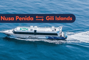 Nusa Penida: 1-Way/Round Fast Boat to Gili T/Air/Meno/Lombok