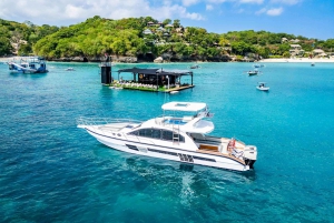 Nusa Penida: Dia inteiro de mergulho com snorkel em 4 pontos com barco particular