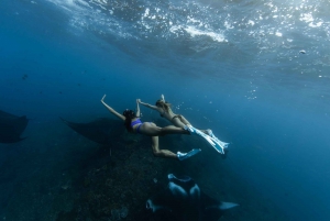 Nusa Penida : Journée complète de plongée en apnée sur 4 sites avec bateau privé