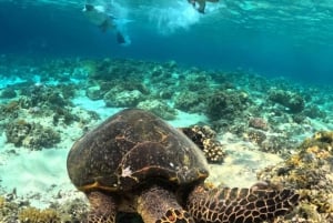 Giliöarna: 3-öars endagstur med snorkling