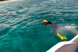 Gili Islands: 3 Island One-day Trip with Snorkeling