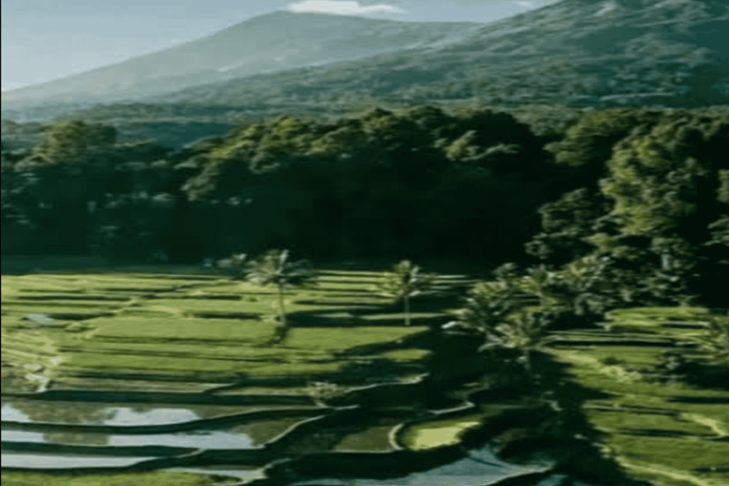 One Days Tours Panorama Walk Around Senaru Village