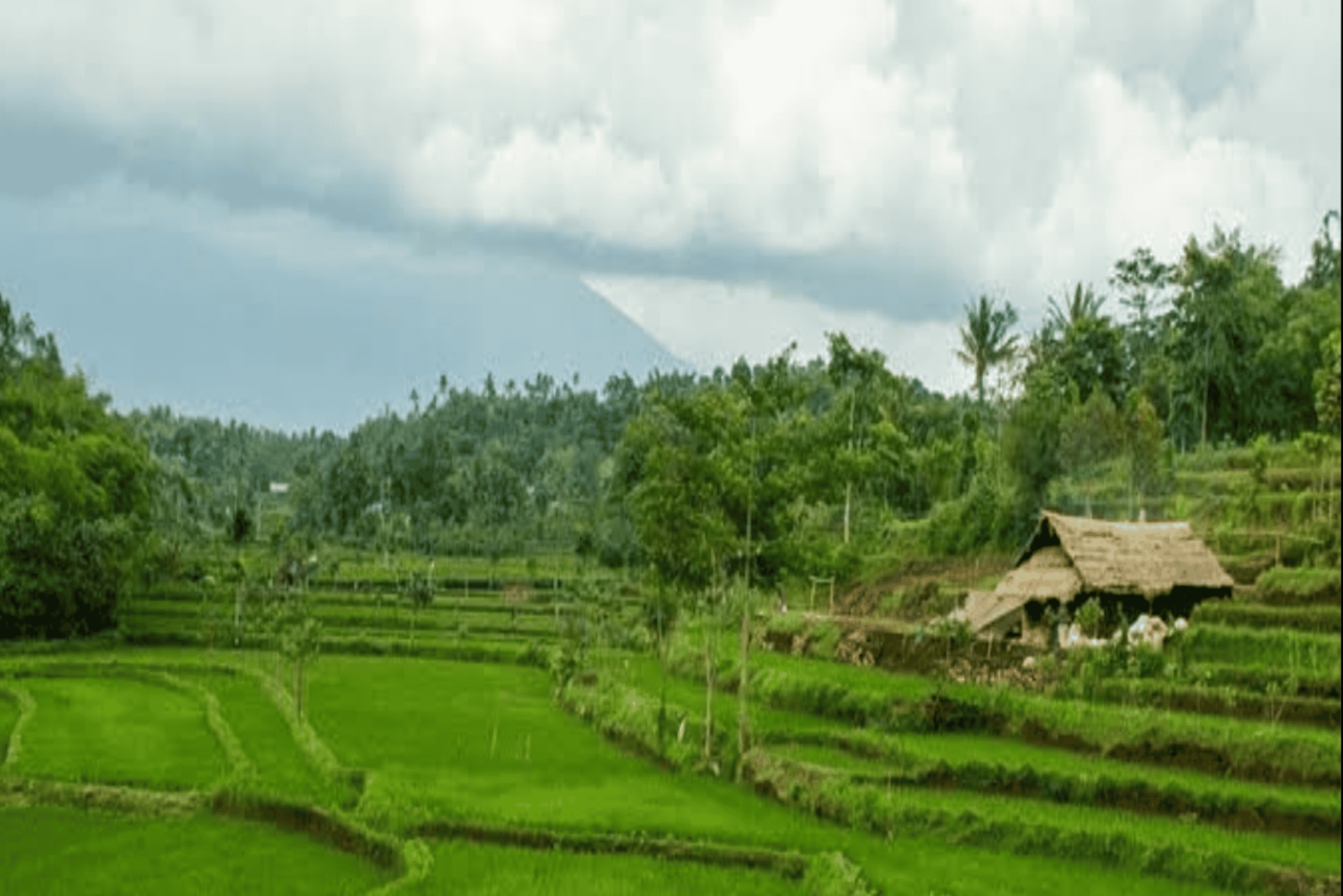 One Days Tours Panorama Walk Around Senaru Village