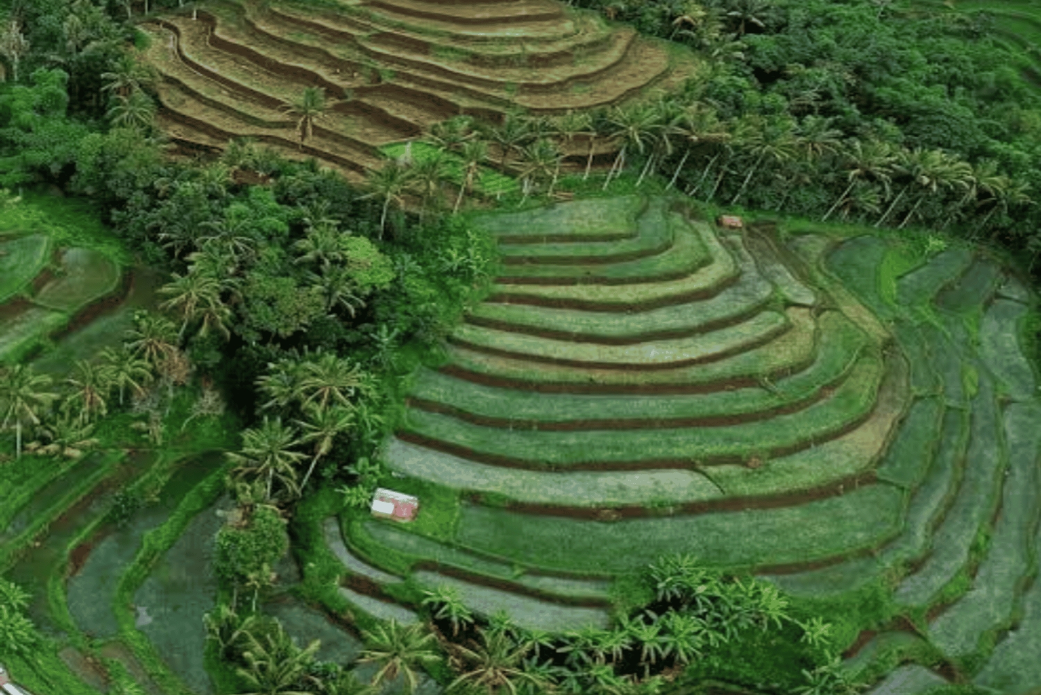 One Days Tours Panorama Walk Around Senaru Village