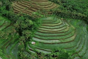 One Days Tours Panorama Walk Around Senaru Village