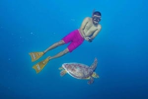 Oseana:Praivate snorkling trip Explore beautifull gili ocean