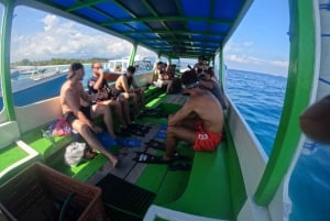 Ozzy Schnorcheln 3 Inseln Besuch Baby-Schildkröten