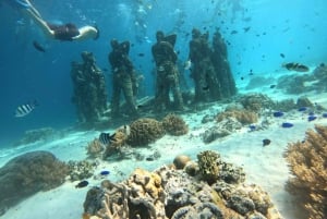 Ozzy Schnorcheln 3 Inseln Besuch Baby-Schildkröten