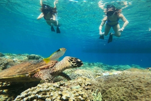 Ozzy Snorkeling 3 isole