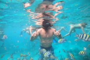 Ozzy Snorkeling 3 Islands