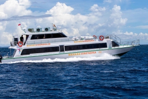 Padang Bai Bali, Gili and Lombok Island : Fast Boat Transfer