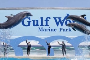 Panama City Beach: Gulf World Marine Park Entrance Ticket