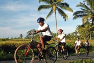 Mit dem Fahrrad durch Reisterrassen, Wälder und Lawang-Höhlen