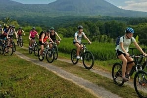 Pedale de bicicleta por terraços de arroz, florestas e cavernas Lawang