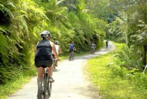Tråkke sykkel gjennom risterrasser, skoger og Lawang-grotter