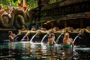 Visita à aldeia tradicional de Penglipuran com cascata e templo