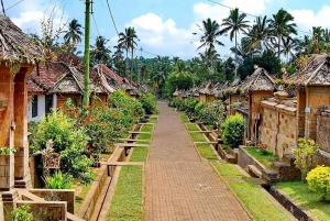 Penglipuran traditionele dorpstour met waterval en tempel