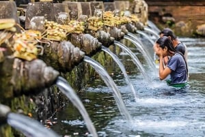 Visita à aldeia tradicional de Penglipuran com cascata e templo