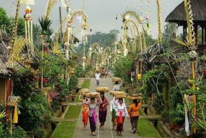 Tour del villaggio tradizionale di Penglipuran con cascata e tempio