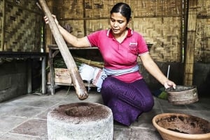 Visite du village traditionnel de Penglipuran avec chute d'eau et temple