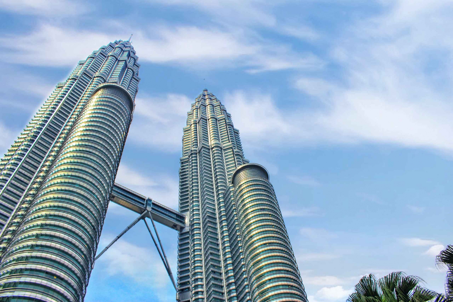 Petronas Towers Observation Deck and KL Tower Tickets