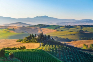 Pienza and Montepulciano Full-Day Wine Tour